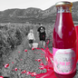Jus de raisin -Syrah